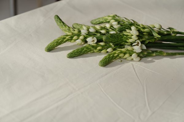 Rustic Lavender & Wheat Garland